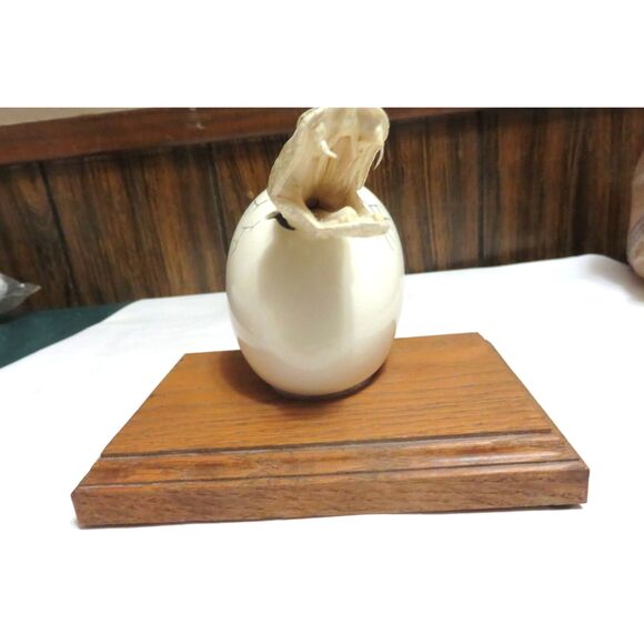 RARE VINTAGE TAXIDERMY SMALL RATTLESNAKE HEAD BURSTING OUT OF A CERAMIC EGG - Picture 6 of 7